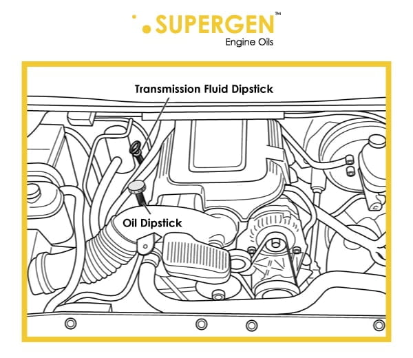 Diagram of car engine with oil dipstick and Transmission fluid dipstick